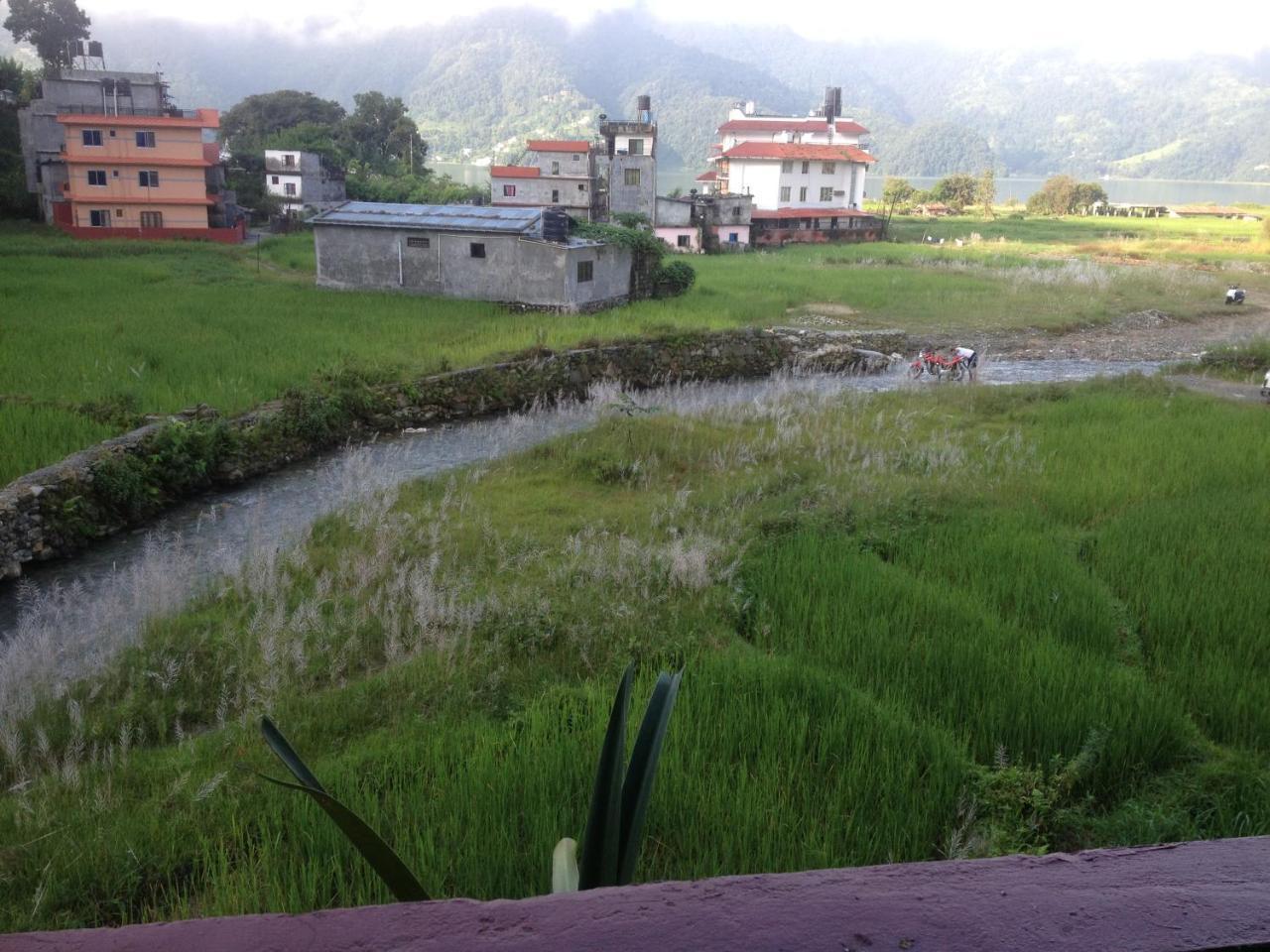 Bishnu Homestay ポカラ エクステリア 写真