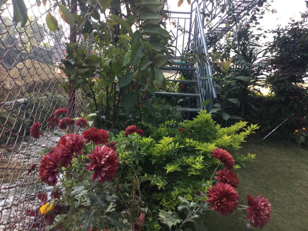 Bishnu Homestay ポカラ エクステリア 写真